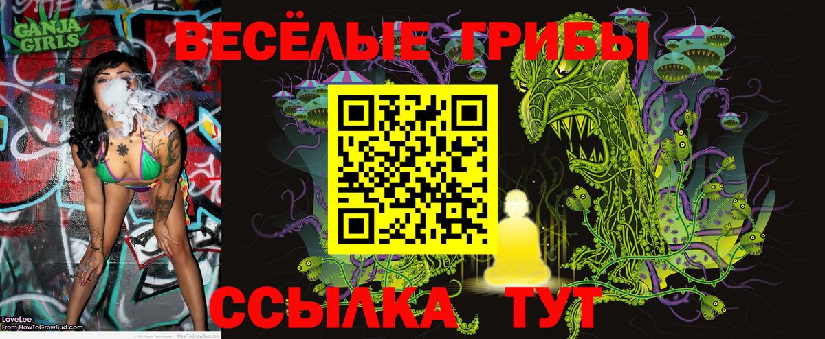 Галлюциногенные грибы Magic Shrooms  Вход с VPN  Псилоцибиновые грибы MAGIC MUSHROOMS  Октябрьский 