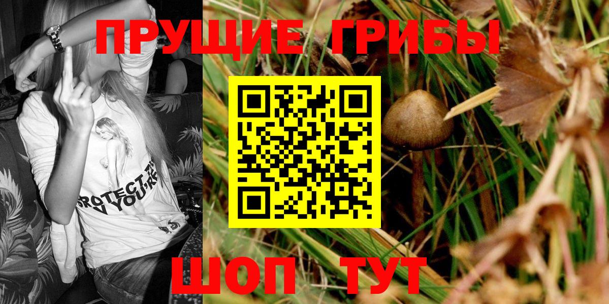 Галлюциногенные грибы ЛСД Октябрьский
